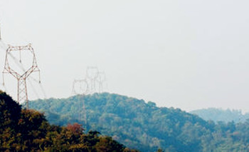 多賬號(hào)電力用戶如何簽訂《購(gòu)售電合同》?