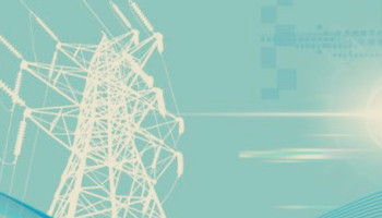 浙江省可以對(duì)已經(jīng)注冊(cè)生效的售電公司，但注冊(cè)信息不符者進(jìn)行舉報(bào)