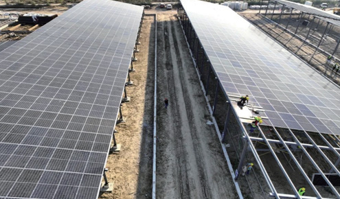 華能山東高青唐坊牧光互補光伏電站項目